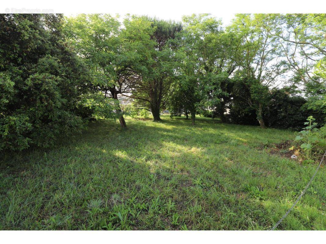 Terrain à SAINT-GEORGES-D'OLERON