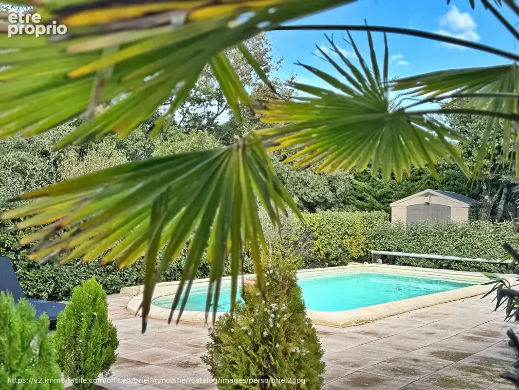 Tourtour, à vendre, maison de plain pied avec maison d'hôte attenante - photo 5