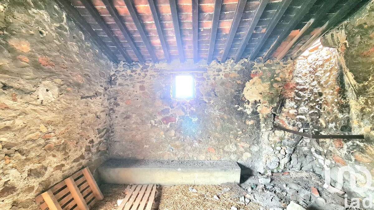 Photo 7 - Terrain à TAUTAVEL