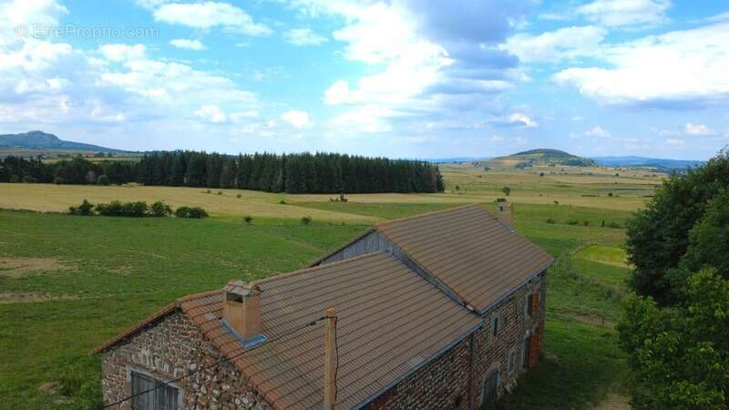 Ancienne ferme en pierres de caractère MAZET SAINT VOY (43) - photo 4