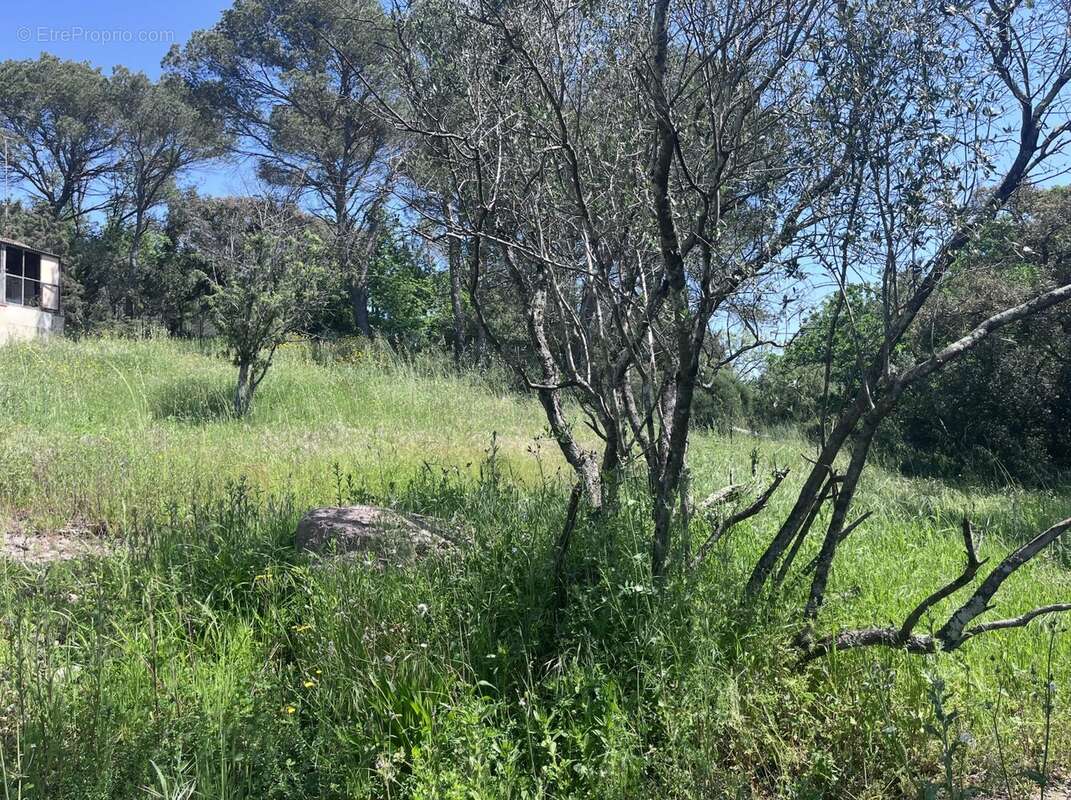 Terrain à SAINT-RAPHAEL