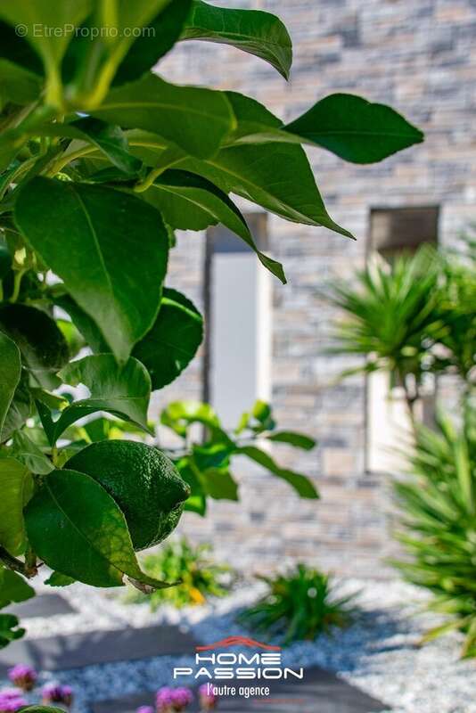 Maison à LES MATHES