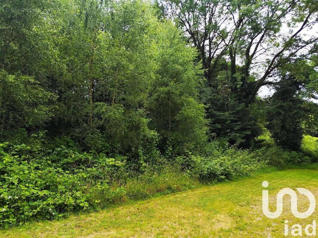 Photo 9 - Terrain à SAINT-JACUT-LES-PINS