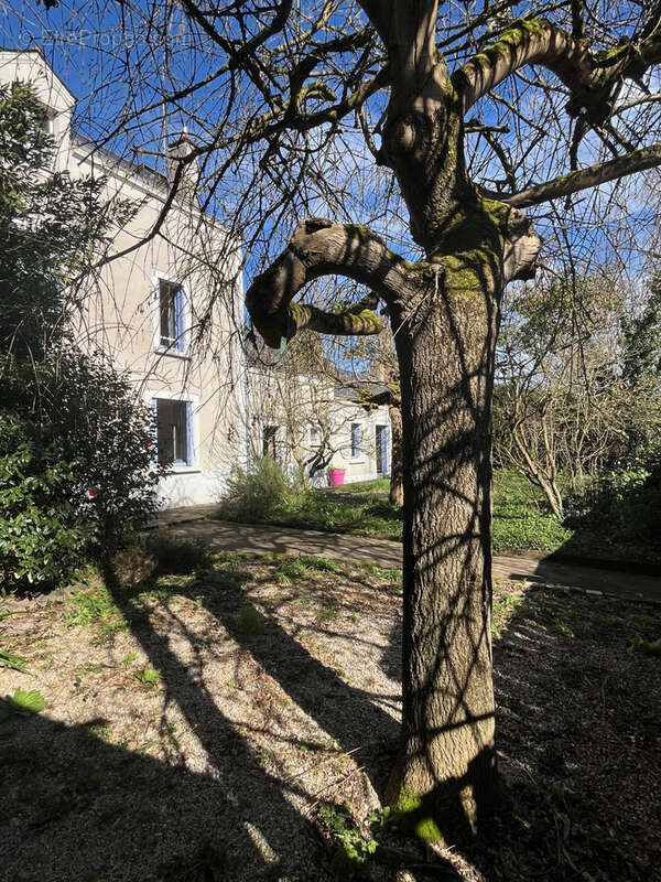 Maison à BOUCHEMAINE