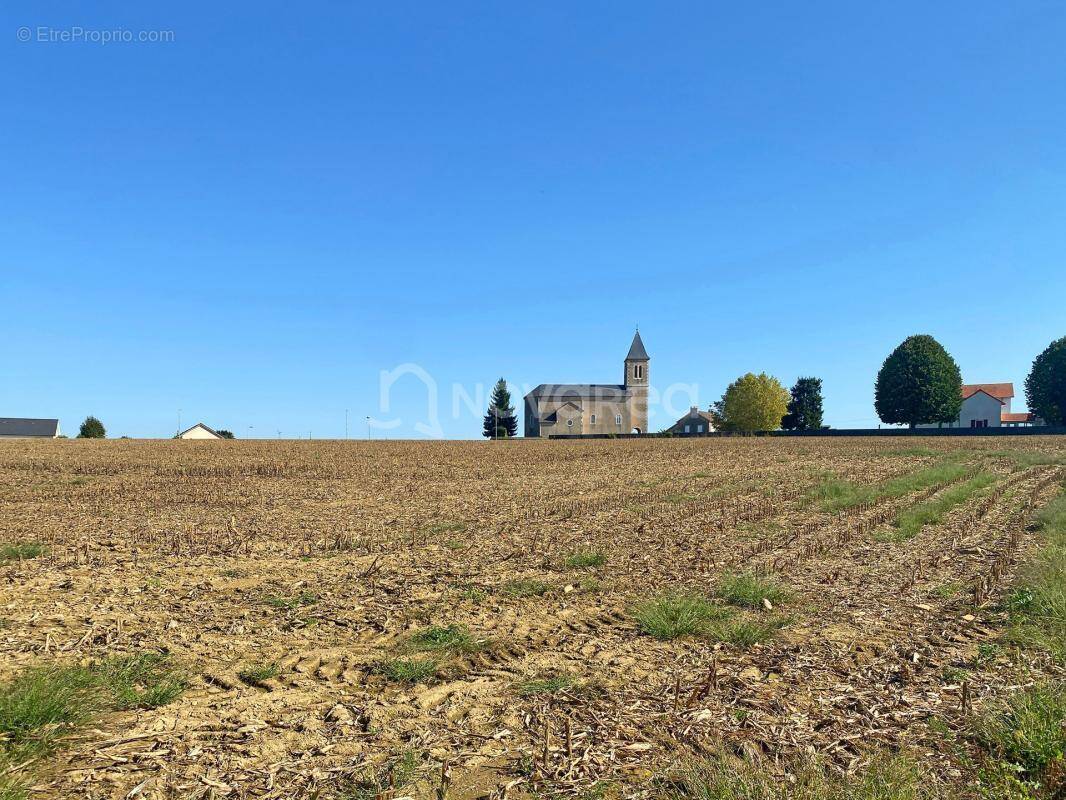 Terrain à MAUCOR