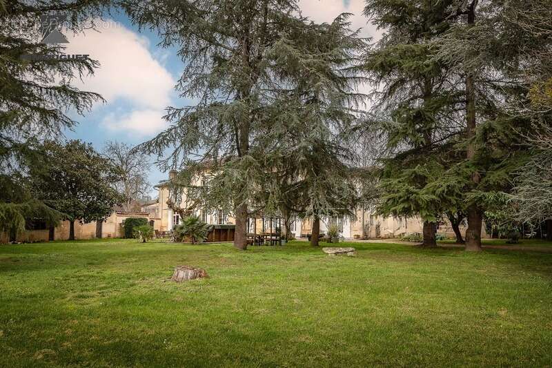 Maison à SAINT-EMILION