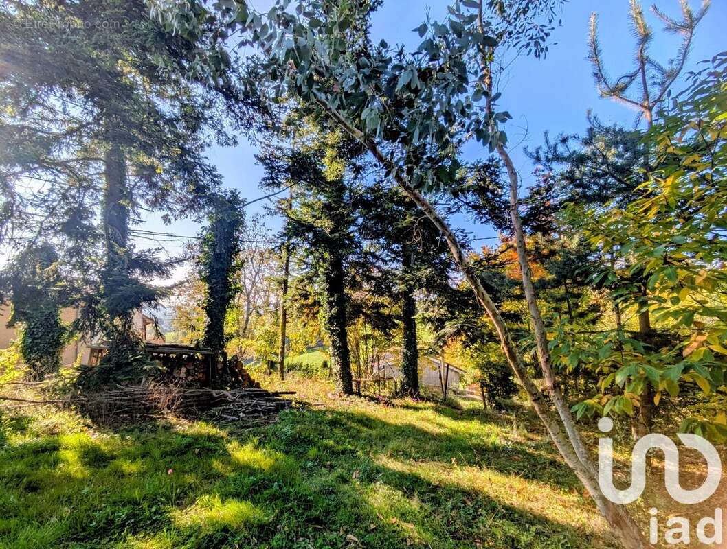 Photo 2 - Terrain à MONTCHAL