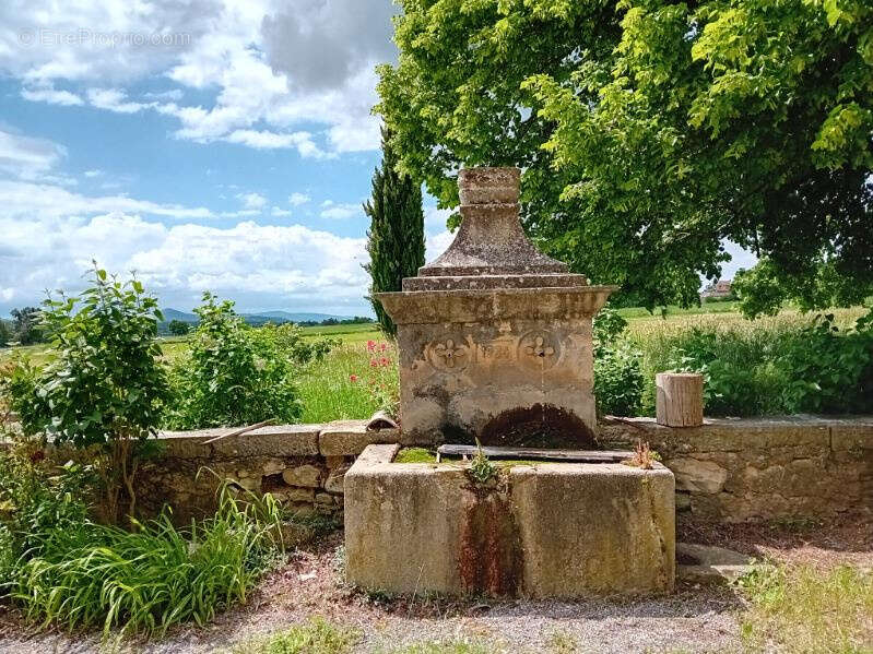 Maison à BANON