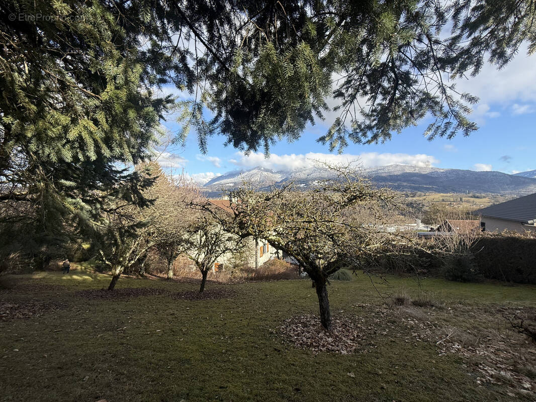 Terrain à ARGONAY