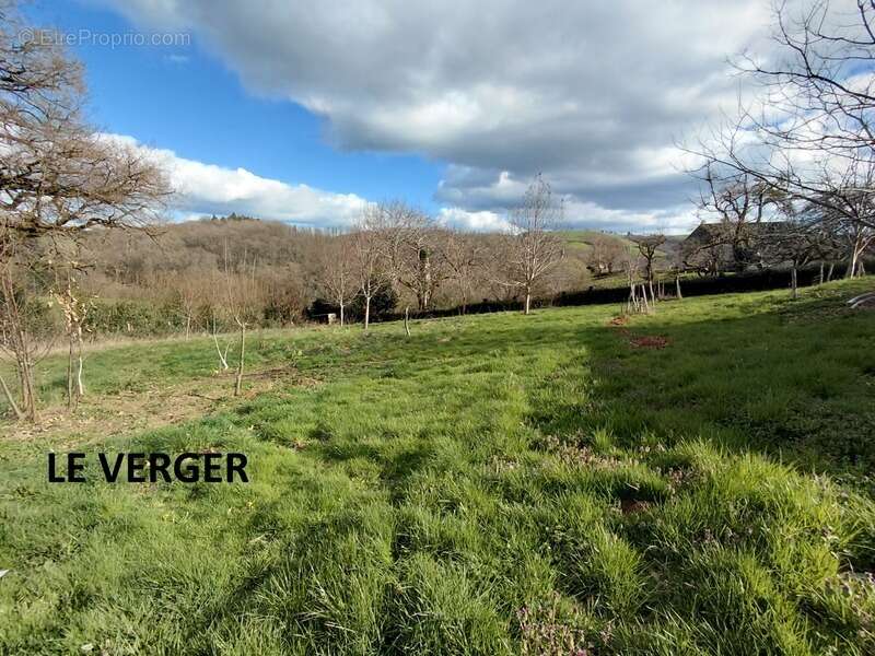 Grande maison rénovée de 220 m² avec atelier, terrasse panoramique et verger – Mourjou (Puycapel  cantal) - photo 26