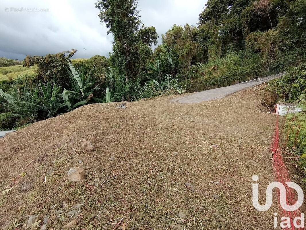 Photo 1 - Terrain à SAINT-PIERRE