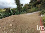 Photo 1 - Terrain à SAINT-PIERRE