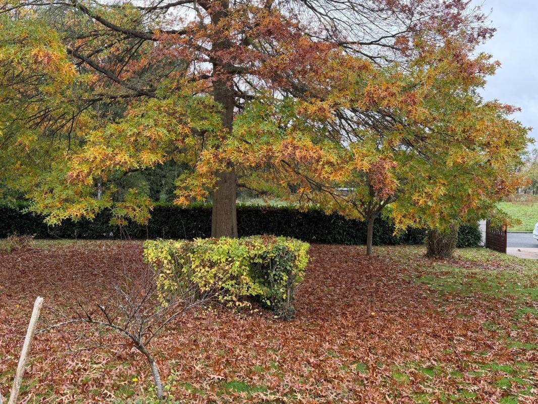Terrain à MAREIL-LE-GUYON
