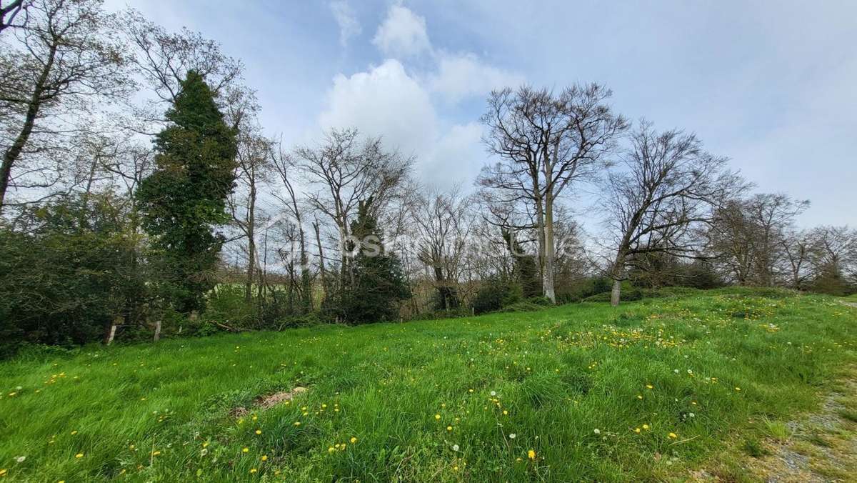Terrain à LA CHAPELLE-AU-RIBOUL
