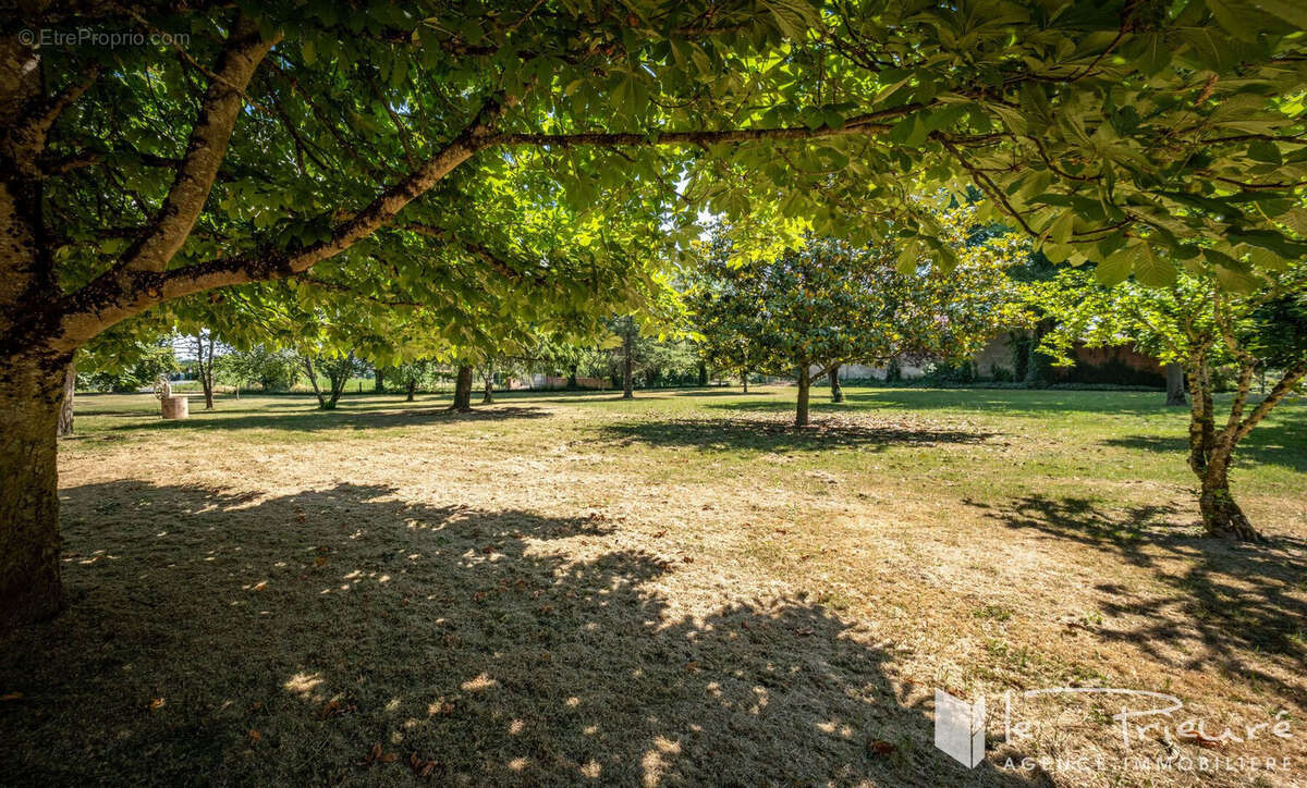 Propriété Familiale sur un parc magnifiquement arboré à Proximité immédiate d'Albi - photo 5