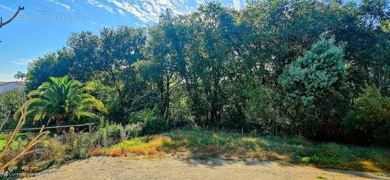 Maison à BRUGUIERES