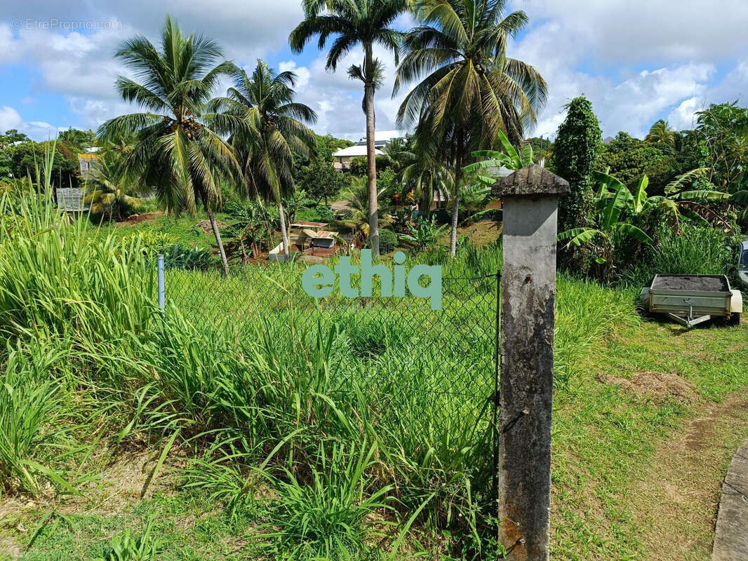 Terrain à PETIT-BOURG