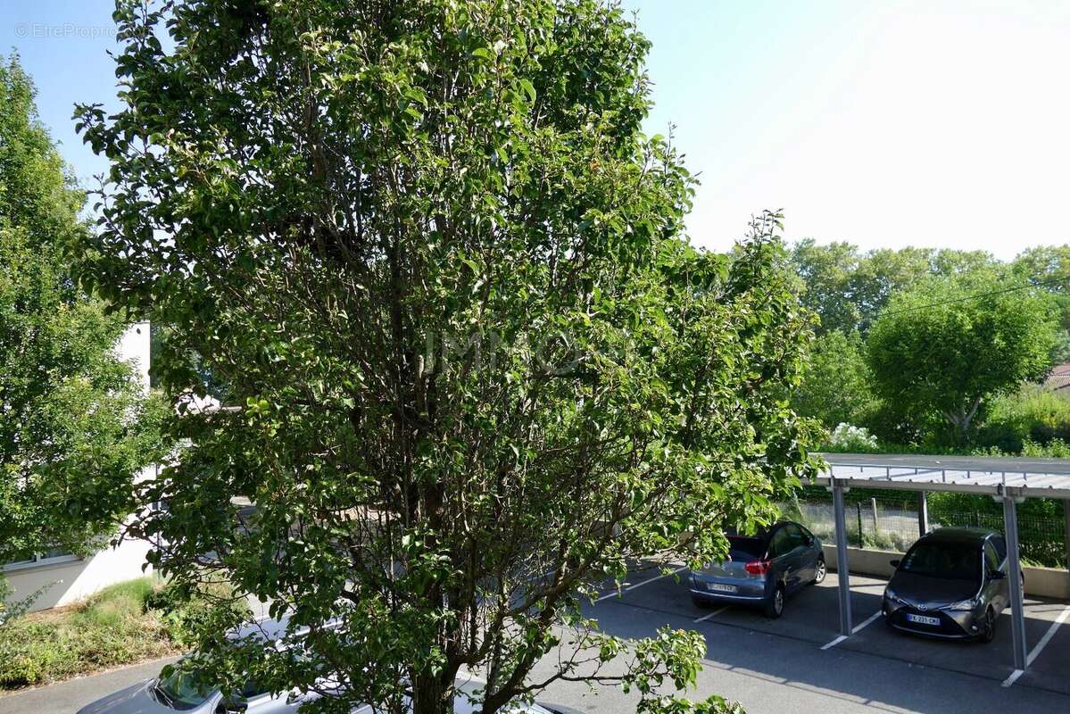 Appartement à RAMONVILLE-SAINT-AGNE