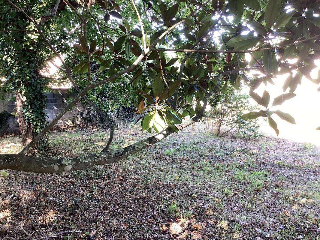 thumbnailIMG3633 - Terrain à SAINT-MARTORY