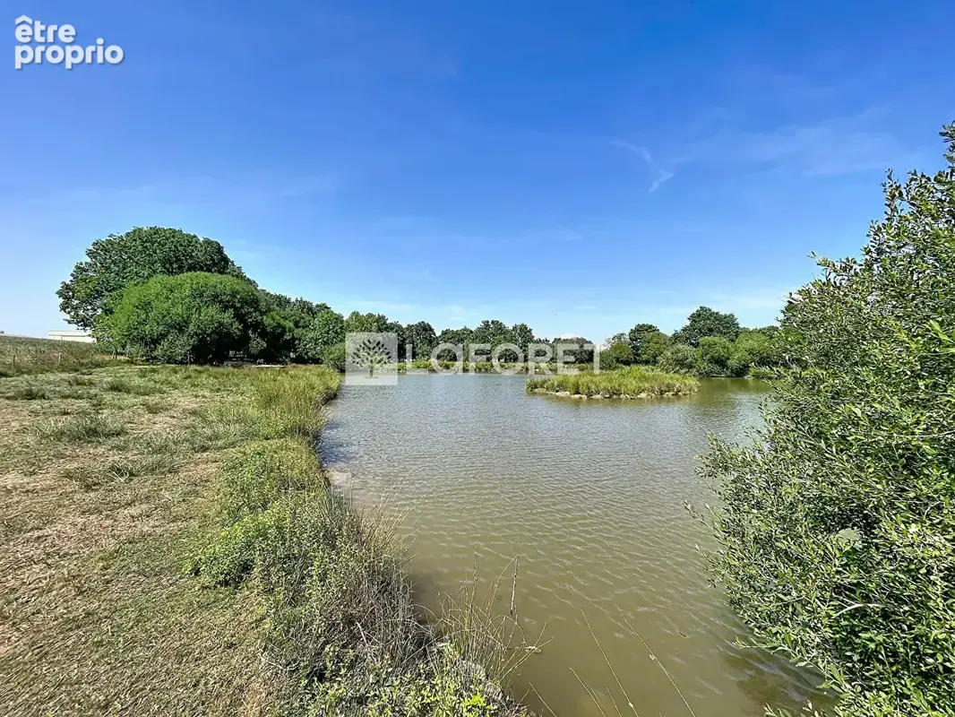 Terrain Allaire 16500 m2 - photo 6