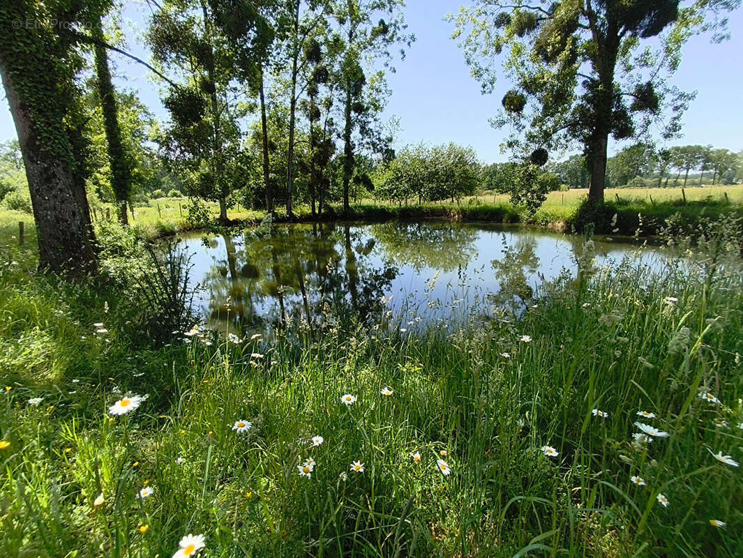 Vallée du Couesnon (35) - Propriété rurale sur 144270m2. - photo 10