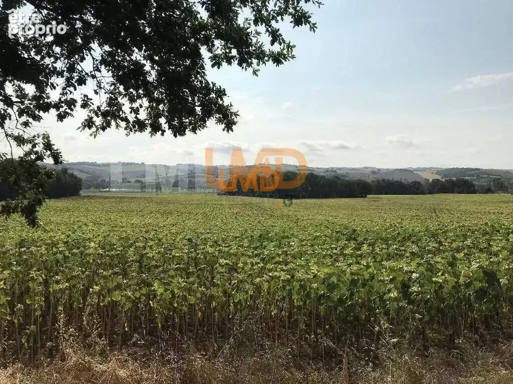 Maison avec piscine sur un terrain de 15328 m² Montaut 31410 - photo 24