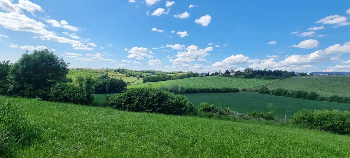 Maison à MONTPEZAT-DE-QUERCY