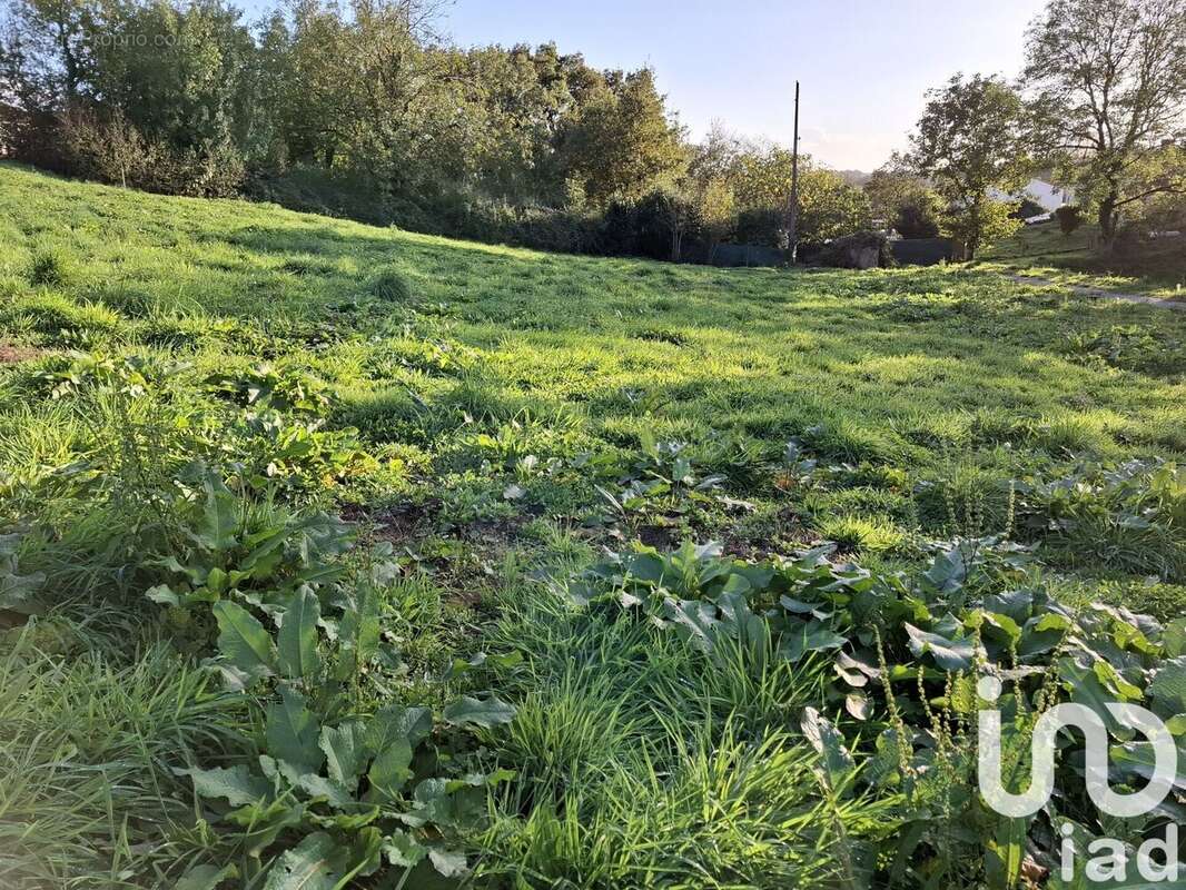 Photo 6 - Terrain à LA CHAPELLE-PALLUAU