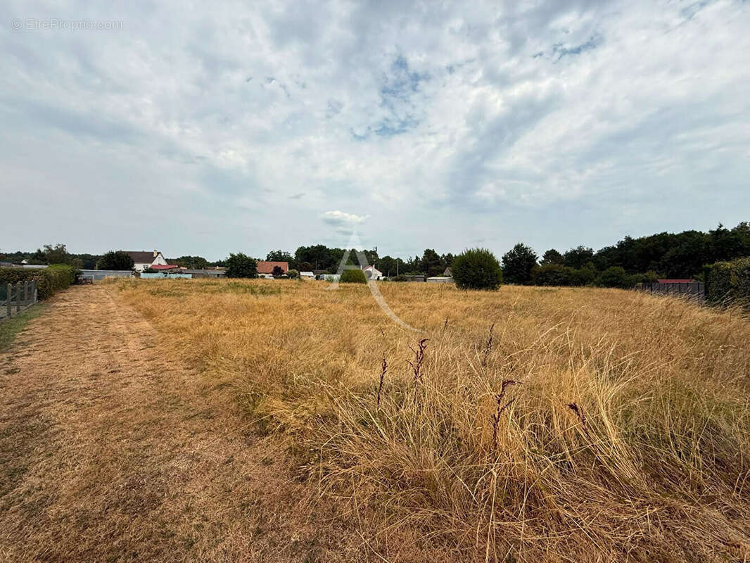 Terrain la suze sur sarthe - photo 2