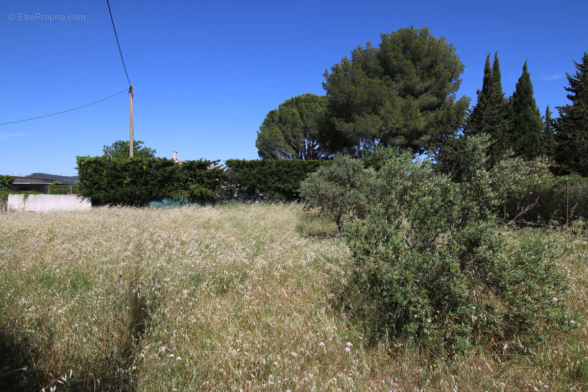 Terrain à FONTVIEILLE