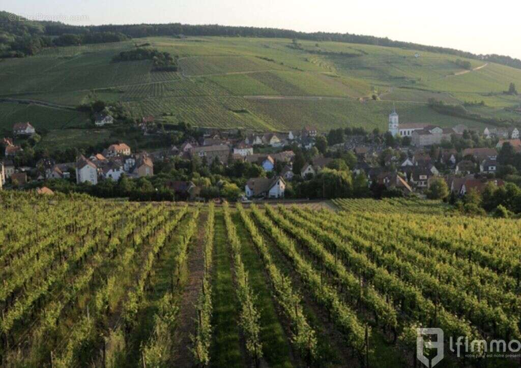 Appartement à BARR