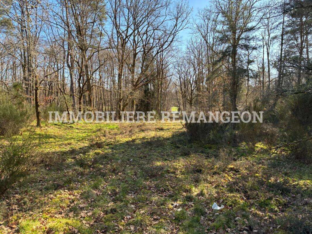 Maison à NEUVY-SUR-BARANGEON