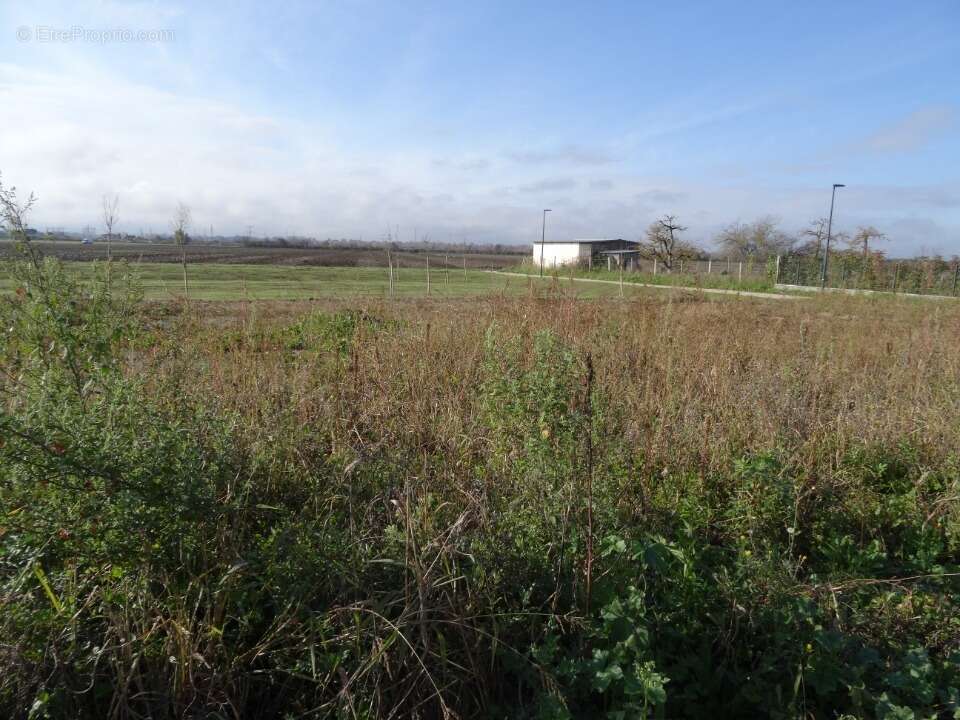 Terrain 450 m² à Grisolles  - photo 3