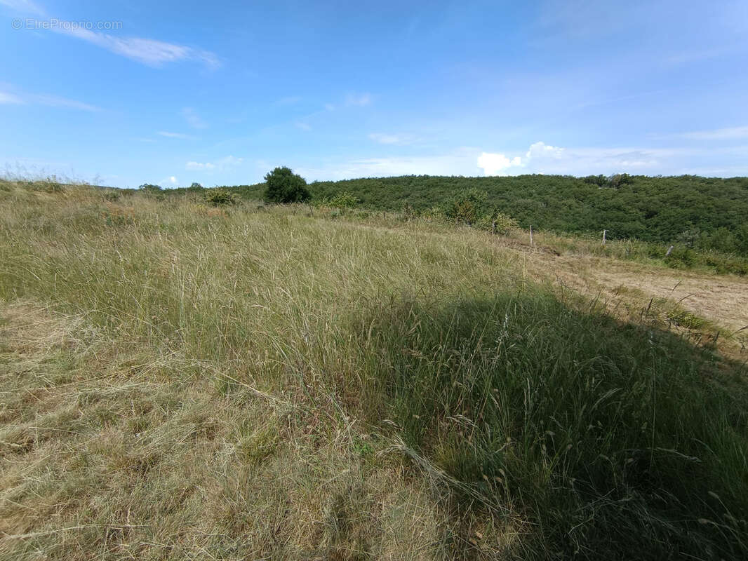 Terrain à LAVILLEDIEU