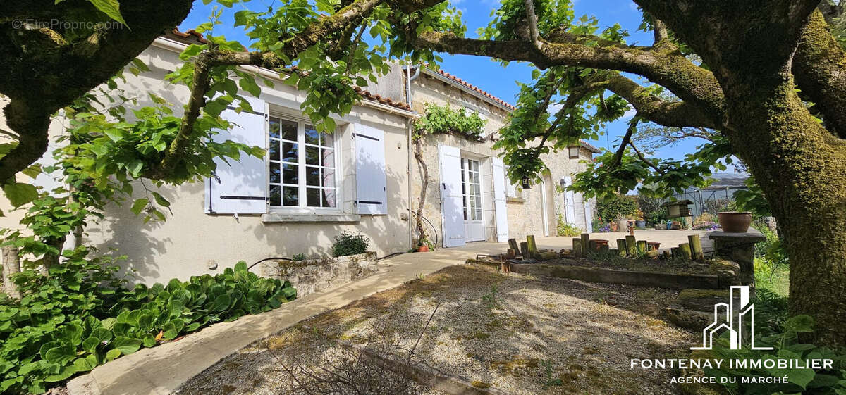 Maison 116 m² à L'hermenault  - photo 5