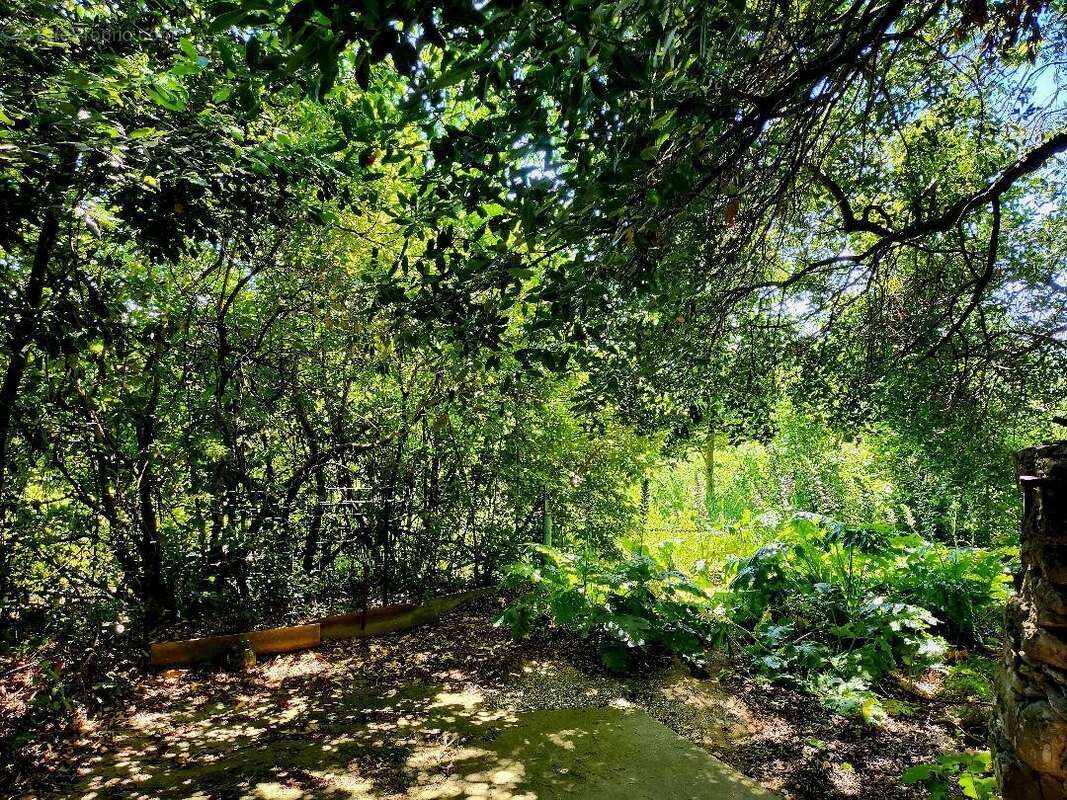 Terrain à CASSAGNOLES