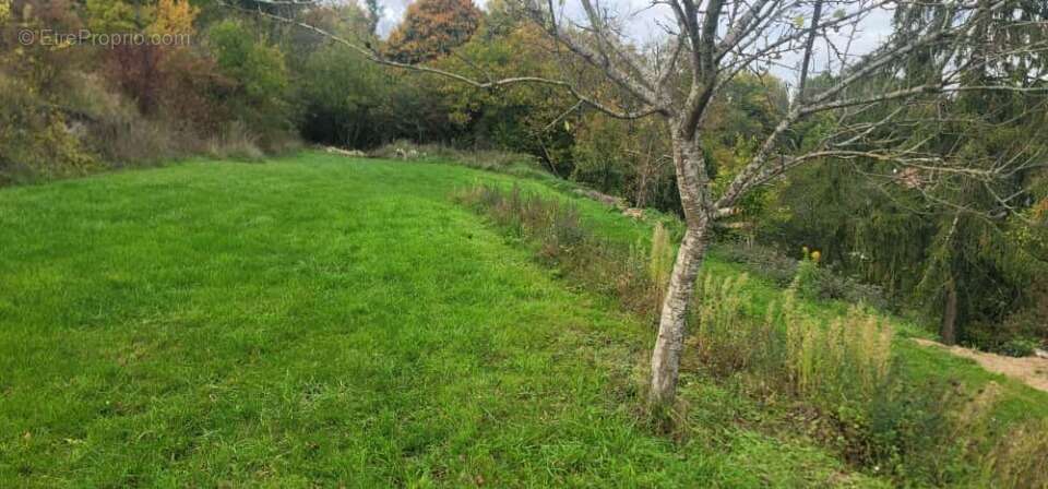 Terrain à VILLECERF