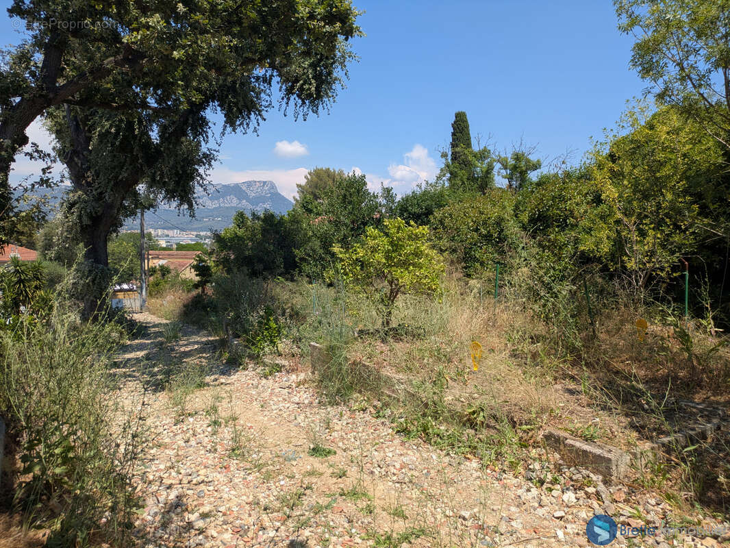 Terrain à TOULON