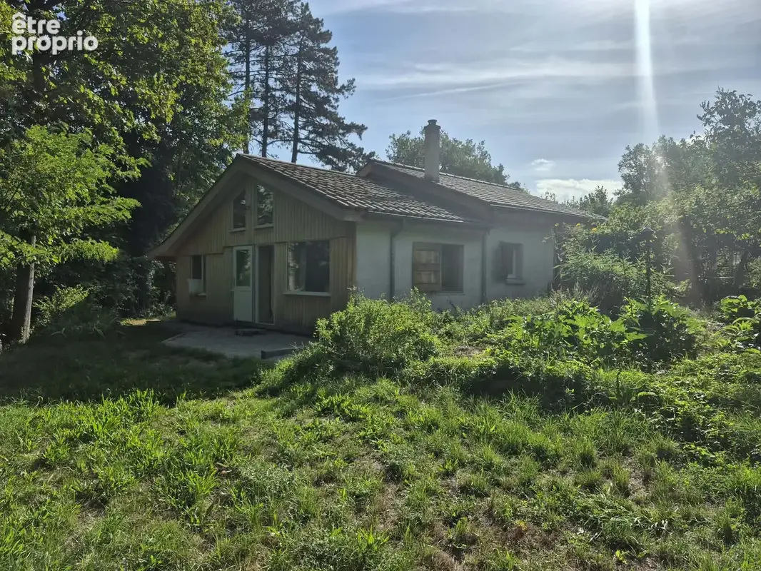 Un havre de paix entre forêt et rivière - photo 13