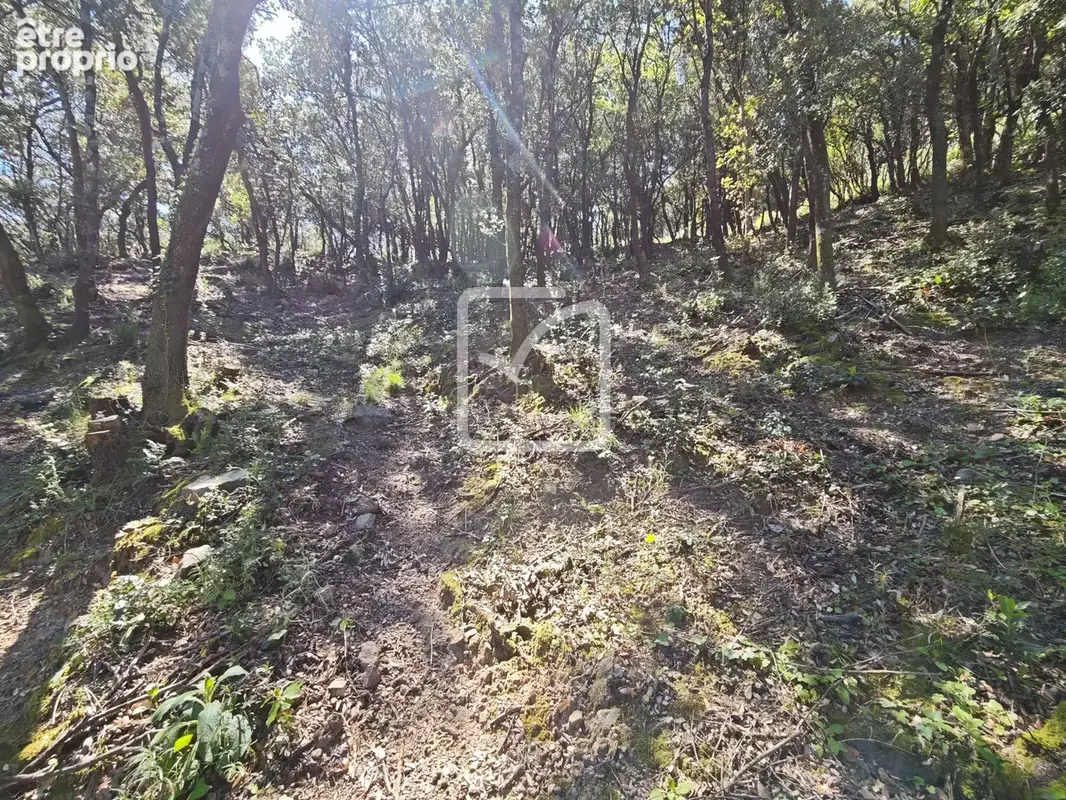 Beau et grand terrain constructible environnement nature! - photo 6