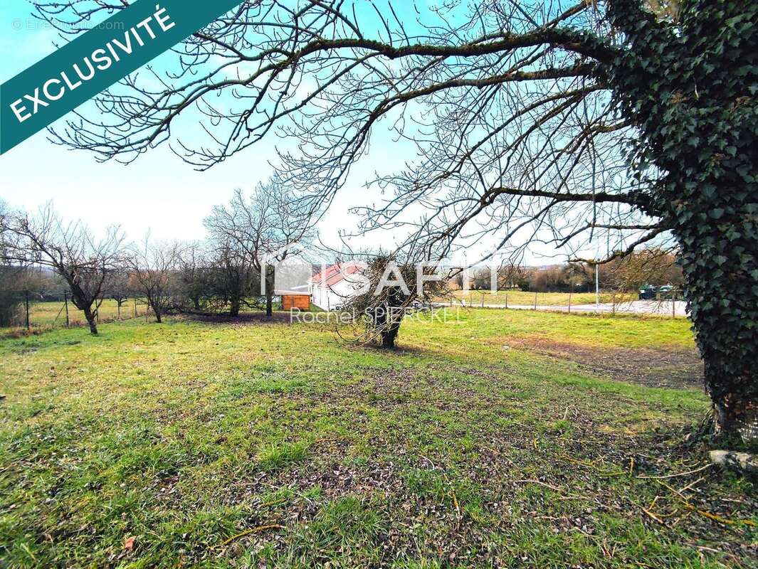 Photo 3 - Terrain à DELME