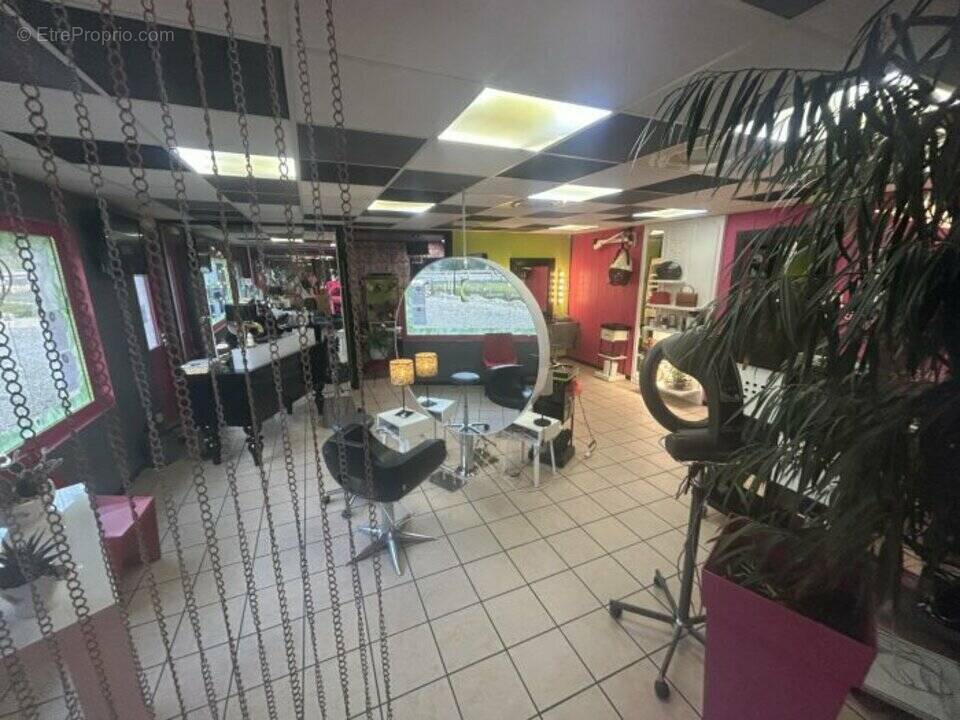 Commerce à SAINT-ALBAN-DE-MONTBEL