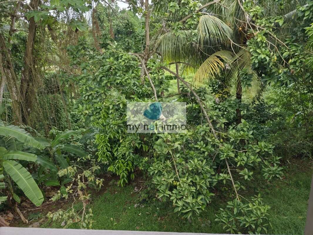 Maison à LE LAMENTIN