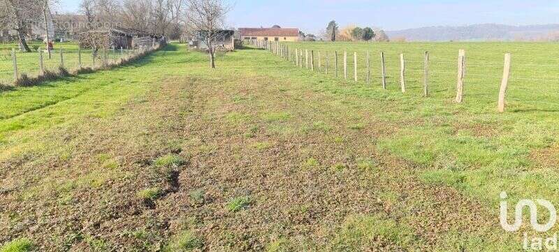 Photo 2 - Terrain à VAIVRE-ET-MONTOILLE