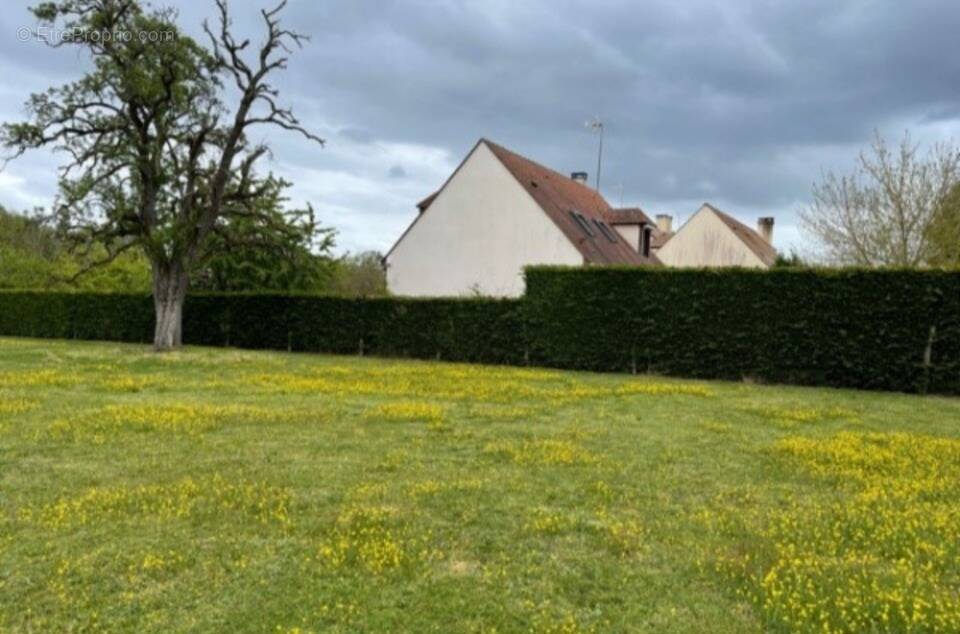Terrain à SUCY-EN-BRIE
