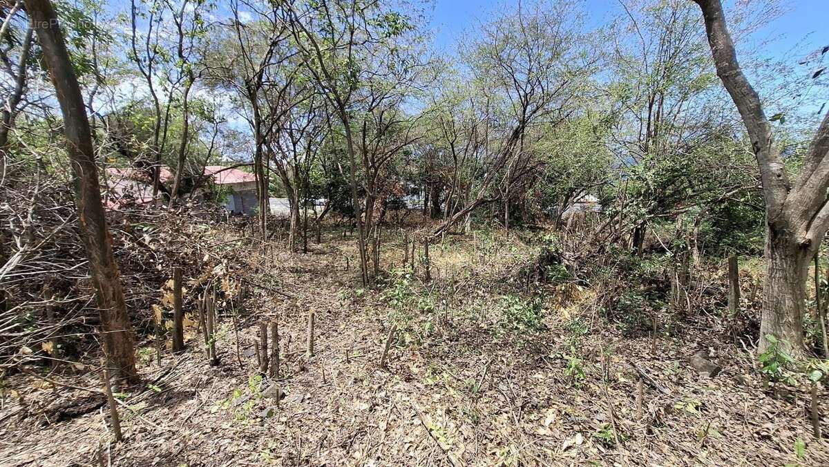 Terrain à BOUILLANTE