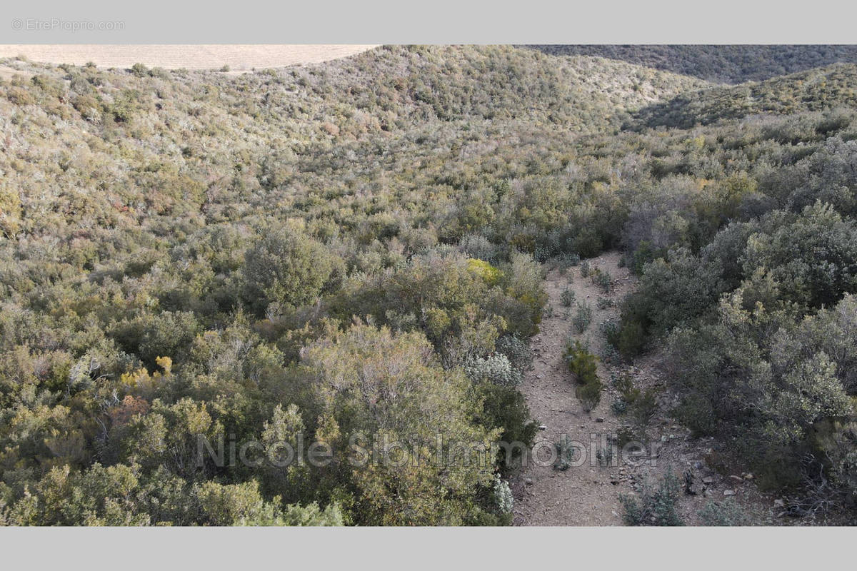 Terrain à RASIGUERES