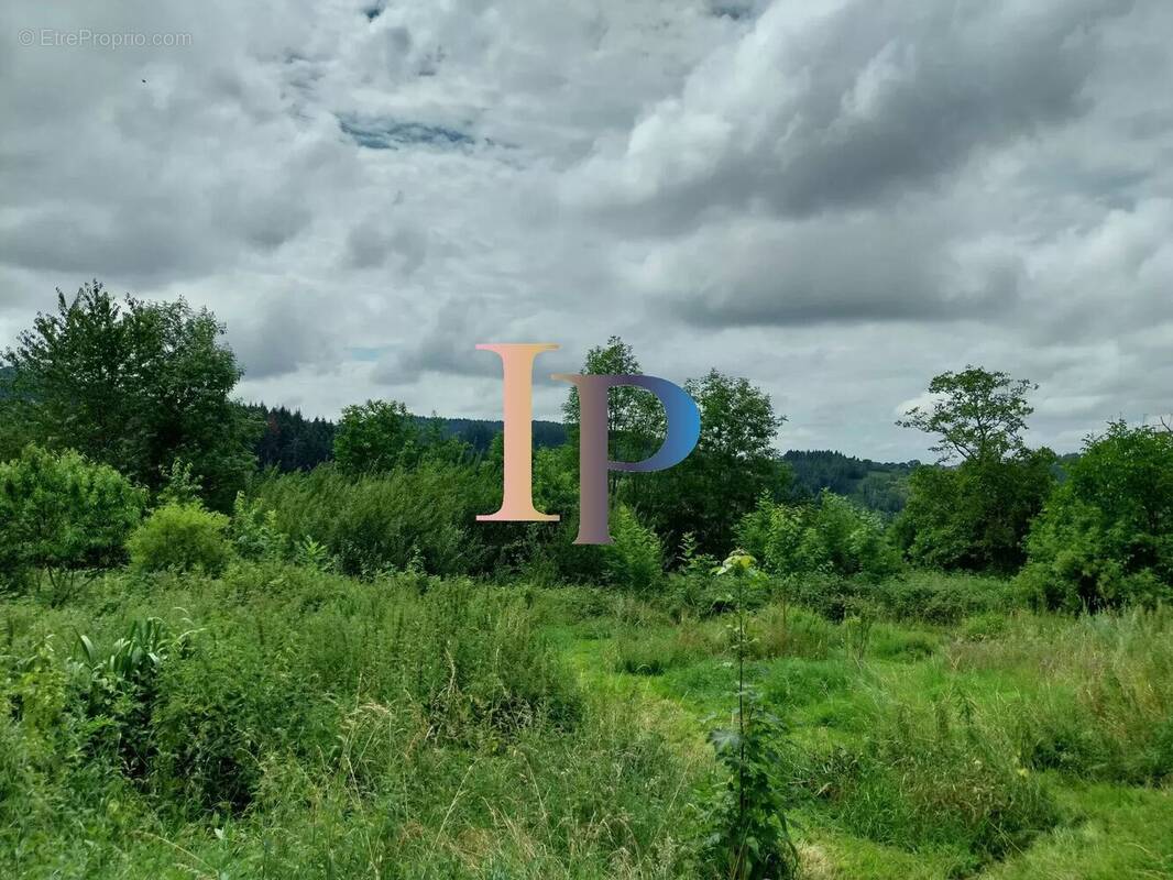 Maison à BELMONT-DE-LA-LOIRE