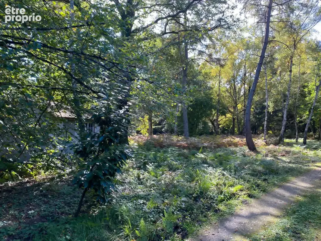 Maison 233 m2 au coeur d'un environnement préservé - photo 9