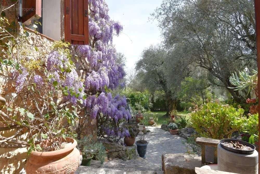 Maison à PEYMEINADE